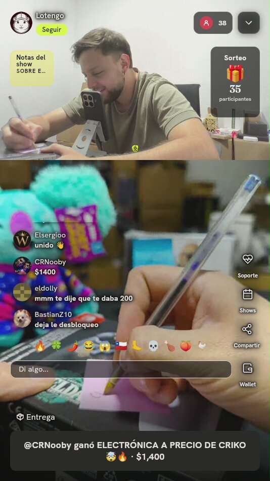 Control Nintendo Switch Pro Zelda