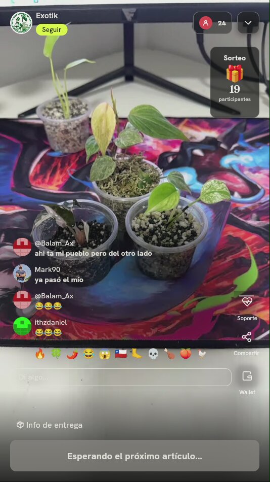 Esquejes de plantas exóticas