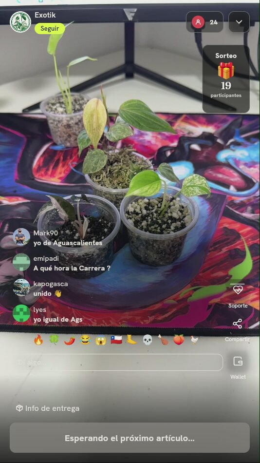 Lote de plantas exóticas