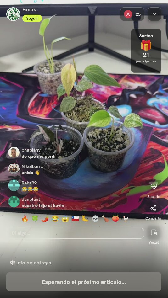 Lote de esquejes de plantas exóticas