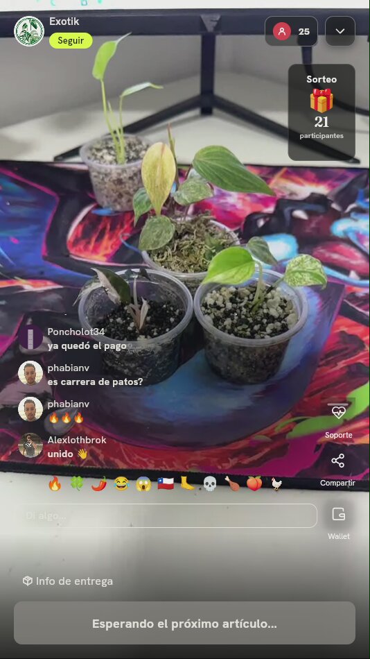 Trío de plantas exóticas