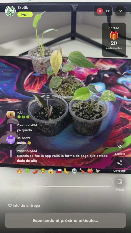 Plántulas de plantas exóticas