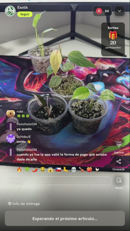 Plántulas de plantas exóticas