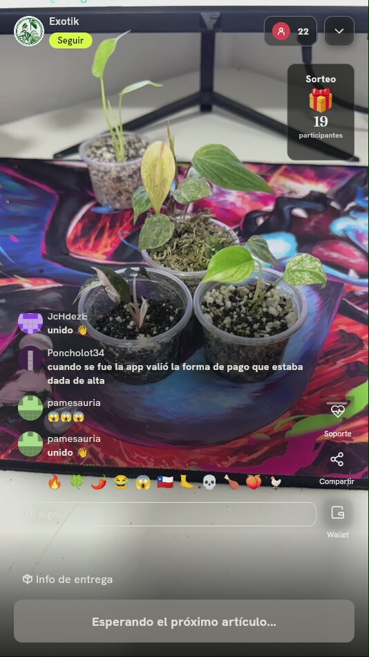 Plántulas de Plantas Exóticas