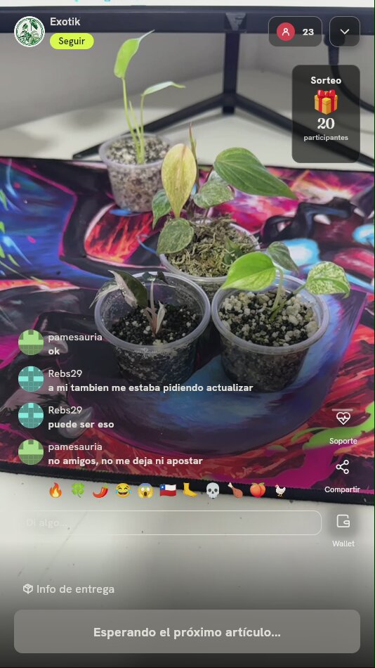 Esqueje de Planta Exótica