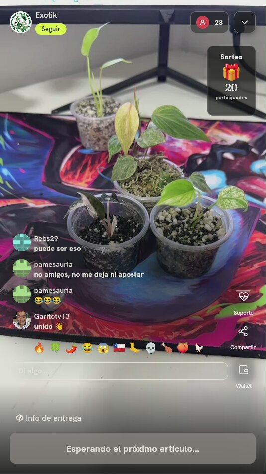 Esquejes de plantas exóticas coleccionables