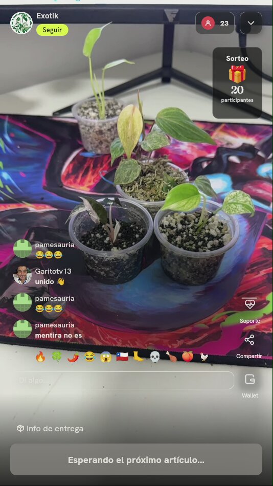 Paquete de esquejes de plantas exóticas