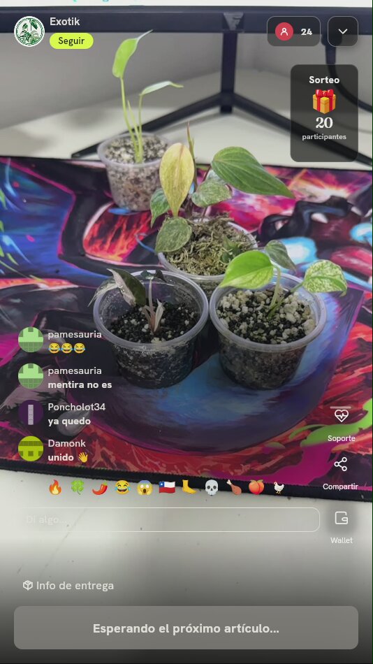 Lote de Plántulas Exóticas