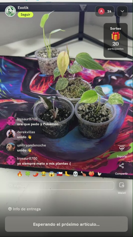 Lote de esquejes de plantas exóticas