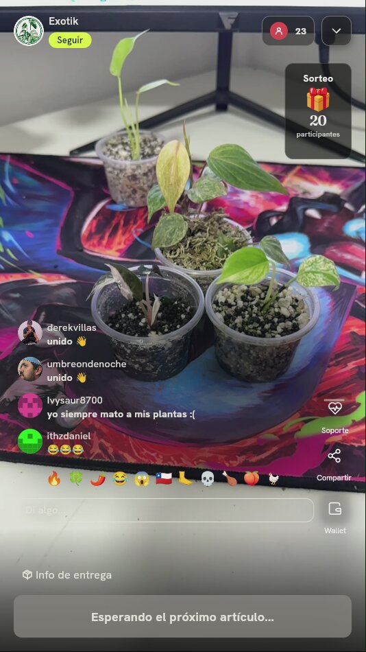 Esquejes de Plantas Exóticas