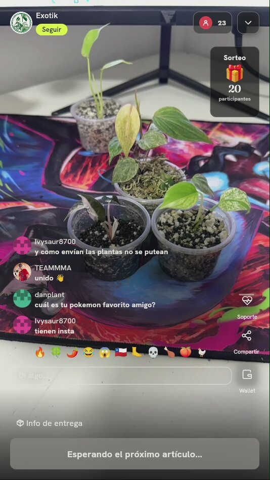 Plántulas de plantas exóticas tropicales