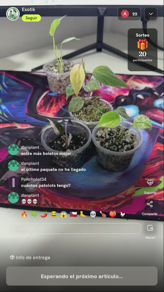 Lote de Esquejes de Plantas Exóticas