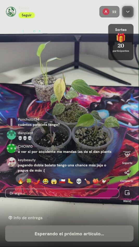 Lote de plantas exóticas
