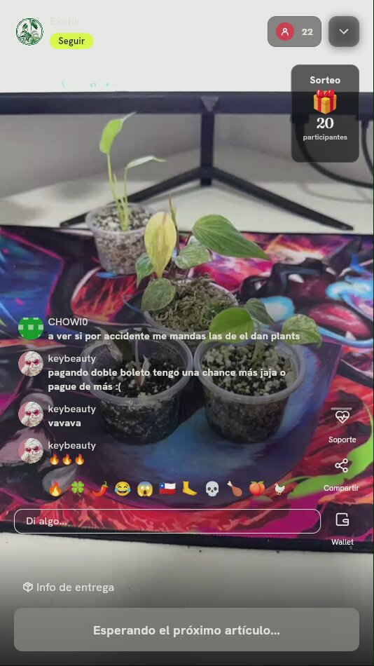 Esquejes de plantas exóticas