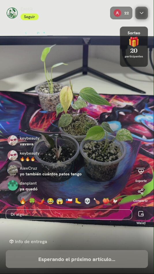 Esquejes de plantas exóticas