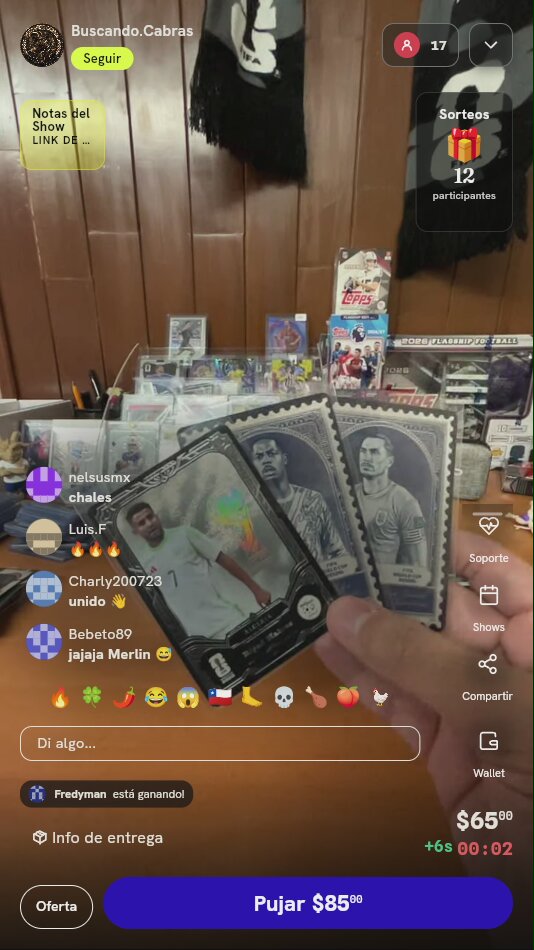 Lote de Cartas Panini x Kayou