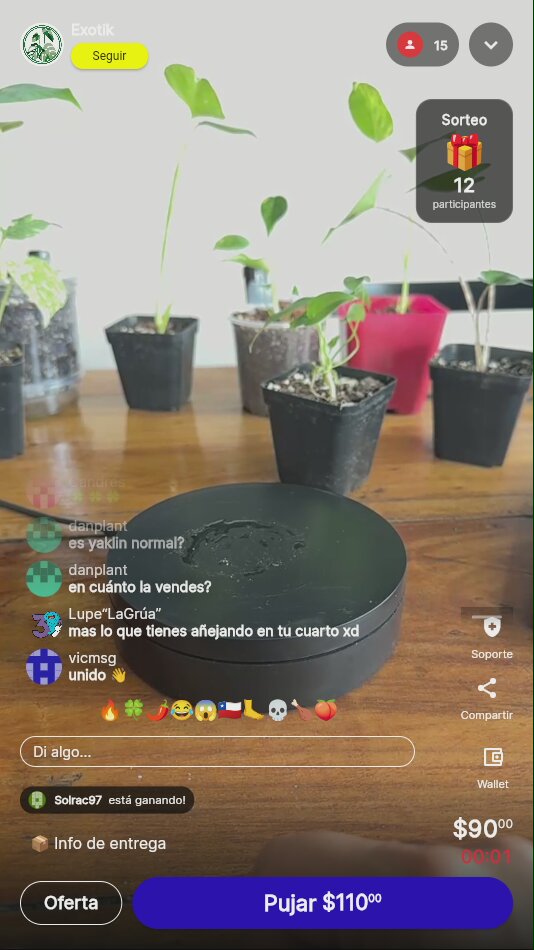 Artículo