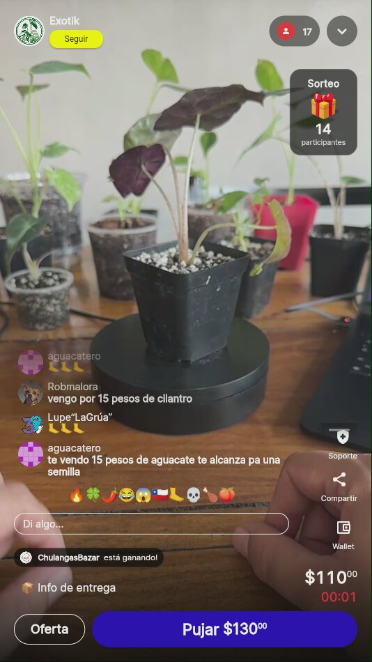 Artículo vendido