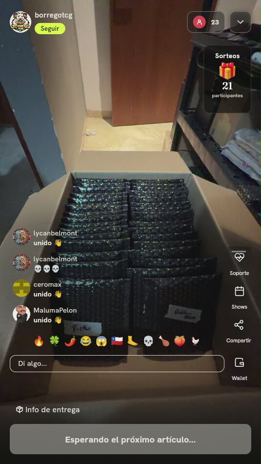 Lote de Mystery Packs Pokémon