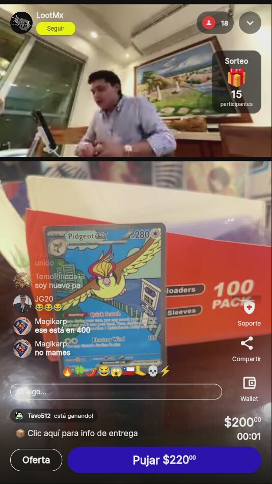 Toploaders y Sleeves para cartas