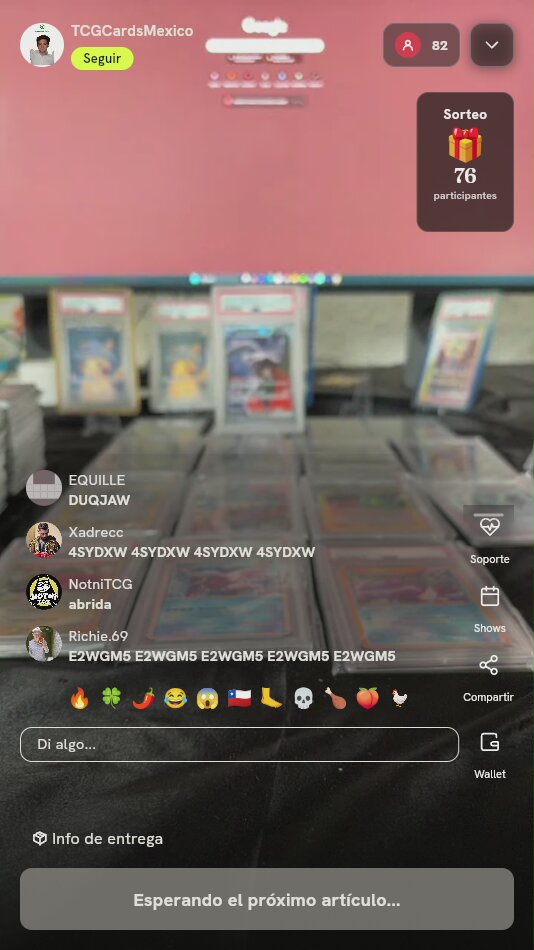 Caja Pokémon Trainer Collection Box
