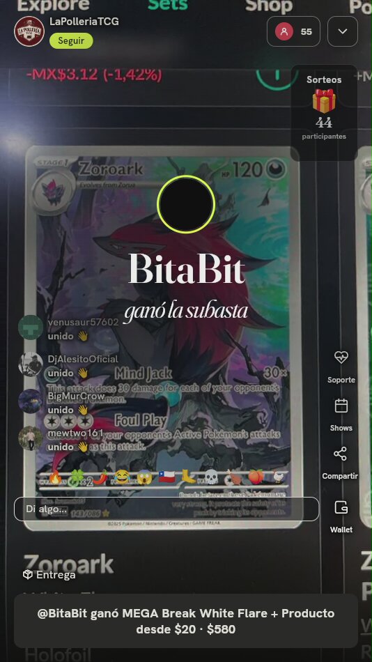 Zoroark Illustration Rare 143/086