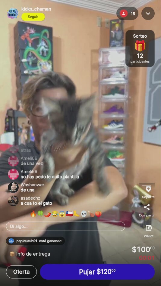 Artículo