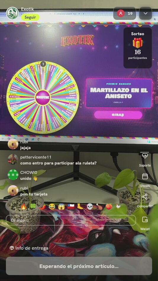 Plantas Verdes en Macetas Transparentes