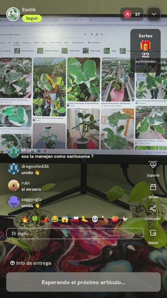 Planta Verde de Interior
