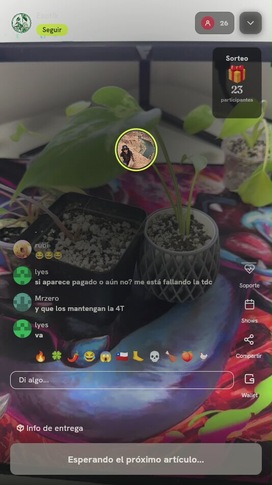 Planta Variegada en Maceta