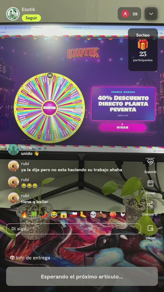 Plantas Verdes de Follaje