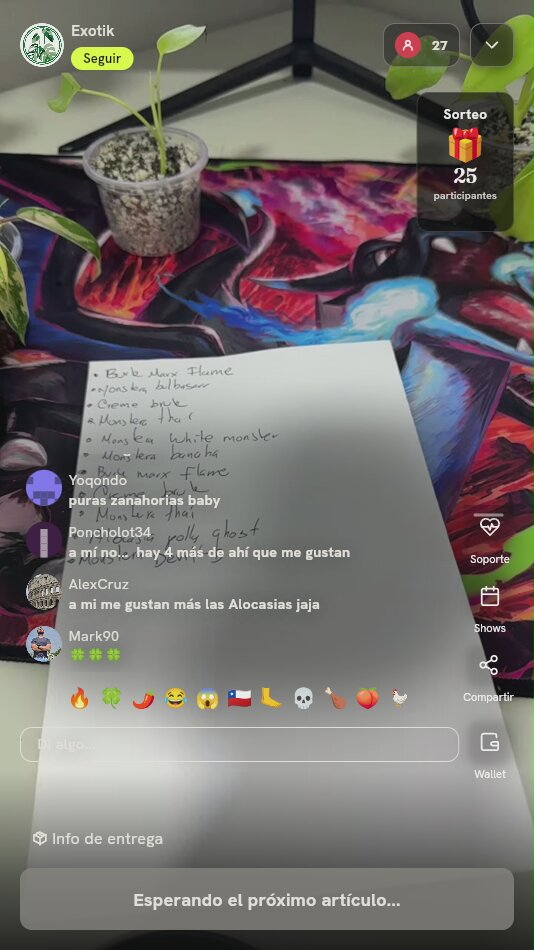 Plántula en Vaso Plástico
