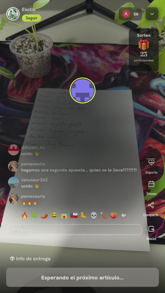 Planta de Follaje Exótico