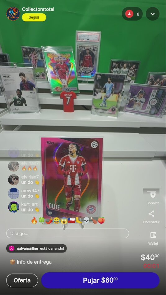 Artículo vendido
