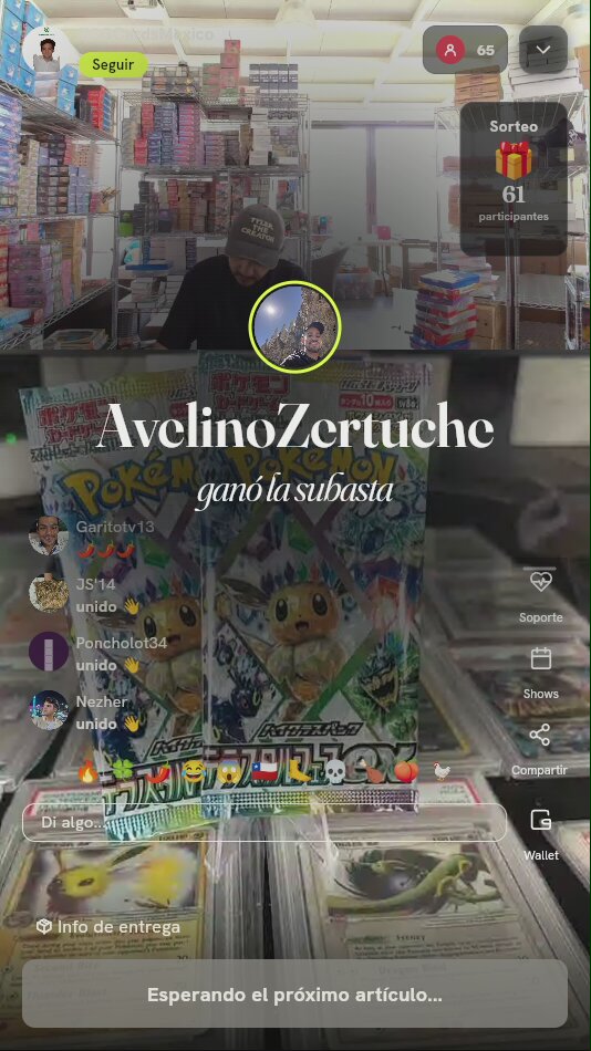 Sobres Pokémon Terastal Festival ex