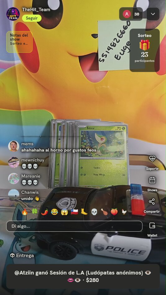 Lote de Cartas Pokémon
