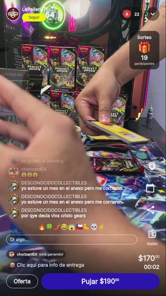 Pokémon TCG Bundle Aleatorio