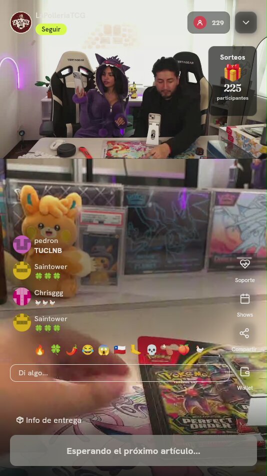 Blister Pokémon Perfect Order Chikorita