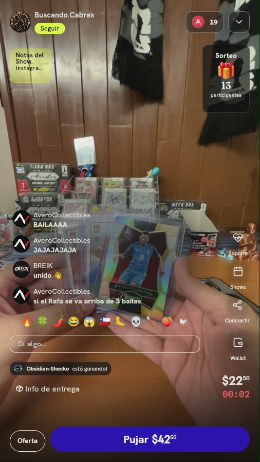 Lote de Cartas Panini Premier League