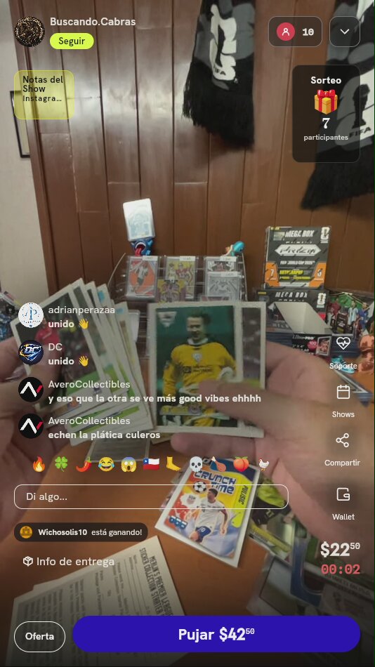 Lote de estampas Merlin's Premier League 1997