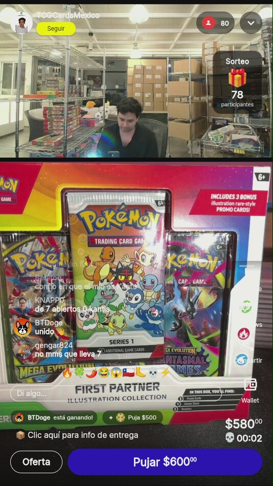 Pokémon First Partner Illustration Collection