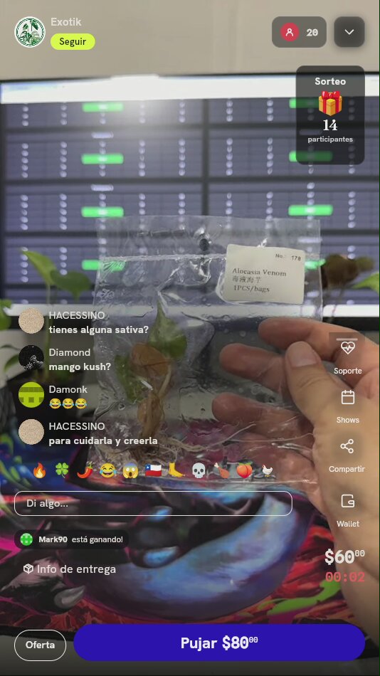 Artículo
