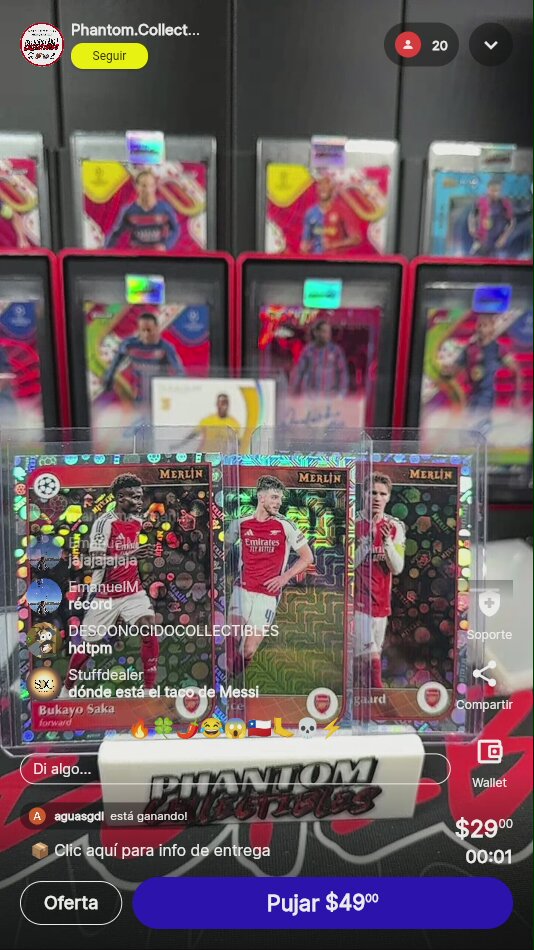 Topps Merlin UEFA Cards