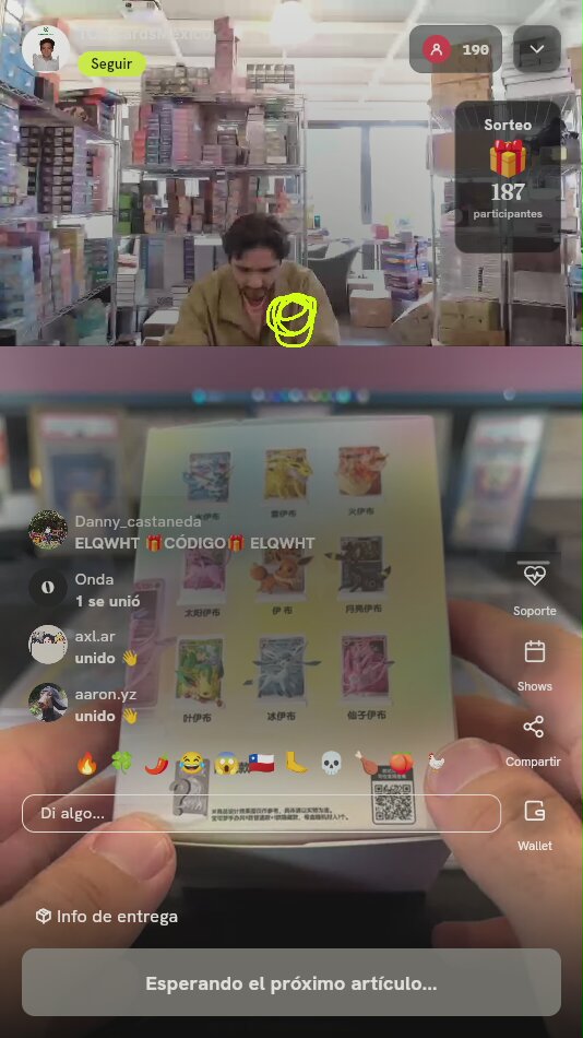 Caja Ciega Pokémon Eeveelutions