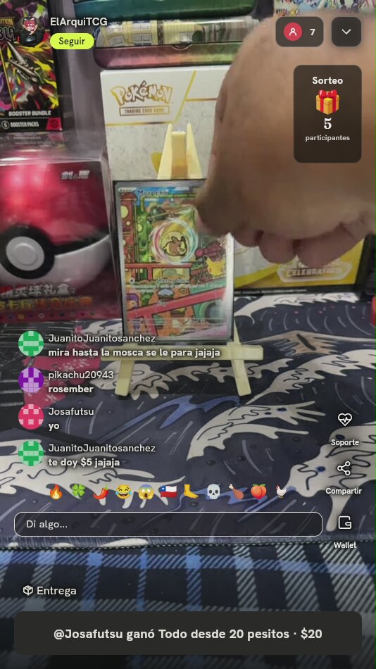 Morpeko 206/182 Paradox Rift