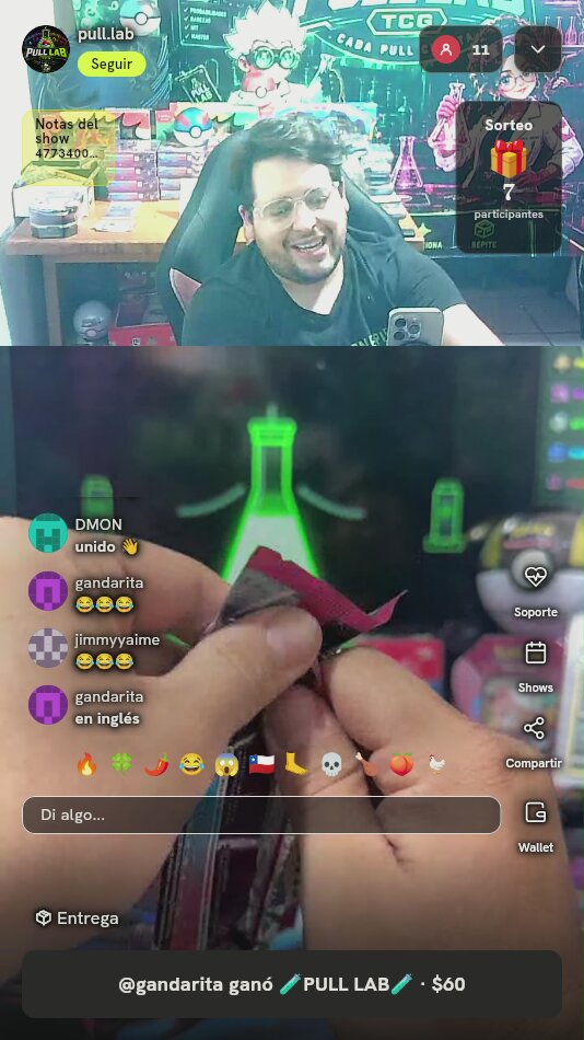 Sobre Pokémon Vivid Portrayals CS2bC