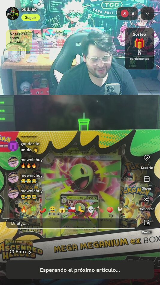 Caja Pokémon Mega Meganium ex