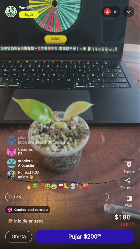Artículo