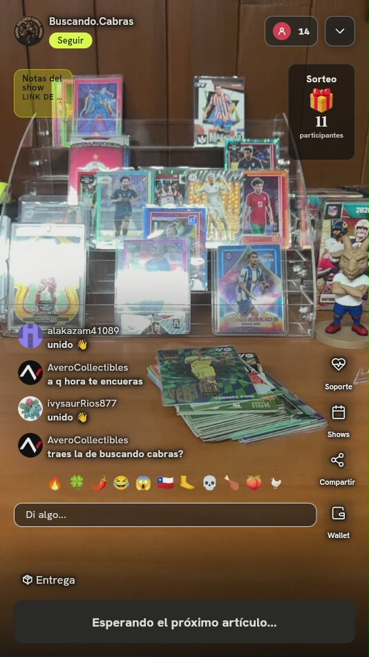 Lote Cartas Donruss FIFA World Cup