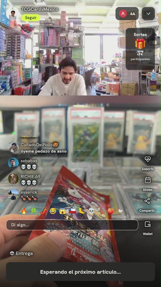 Pack Pokémon 共逐荣光 Chasing Glory